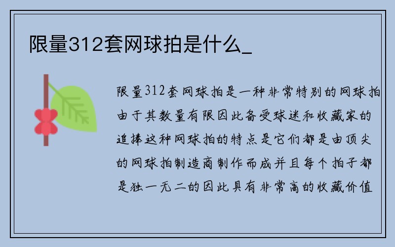 限量312套网球拍是什么_