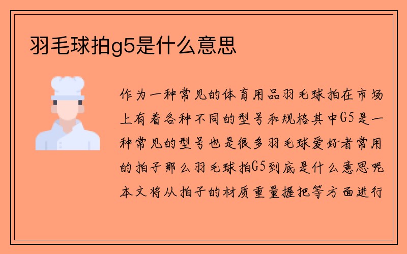 羽毛球拍g5是什么意思